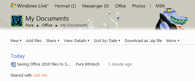 Windows Live Skydrive storage