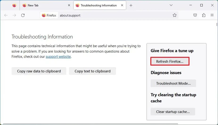 Firefox reset feature