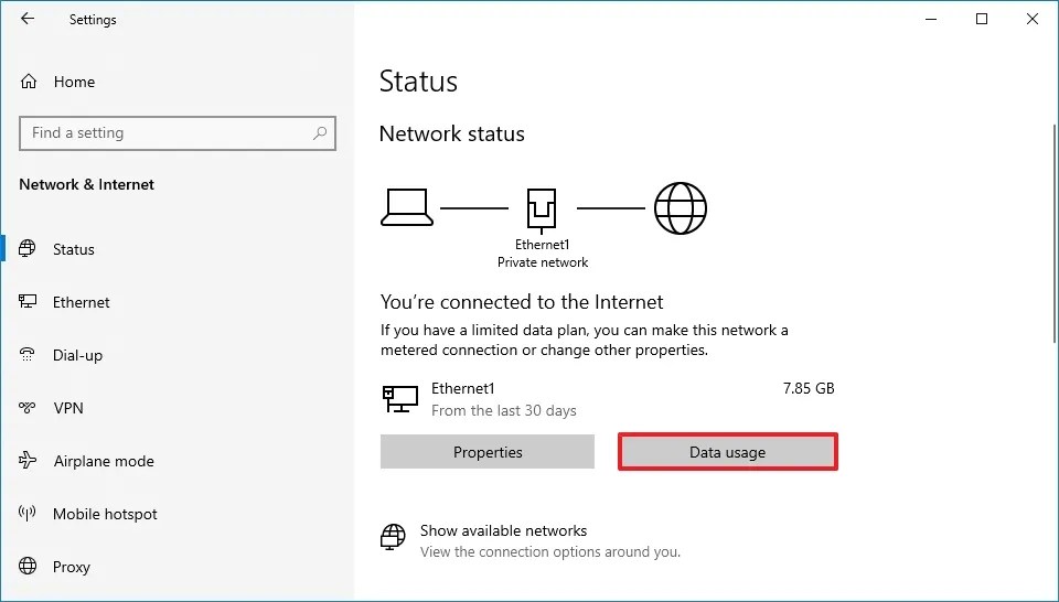 Windows 10 open Data Usage settings