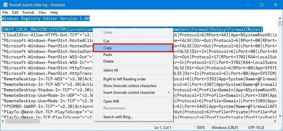 Registry firewallrules copy entries