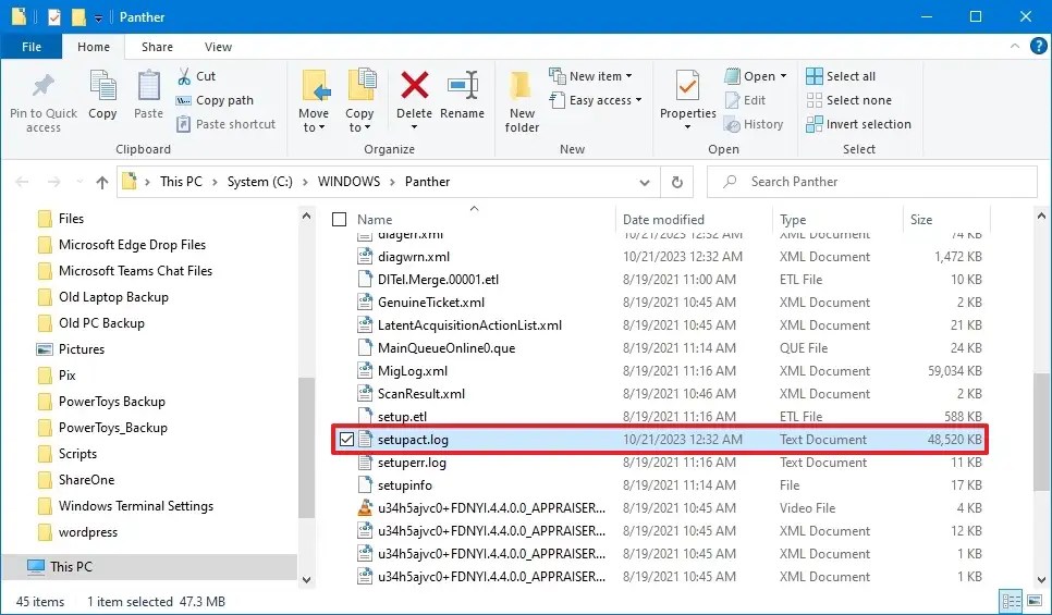 Windows Panther folder