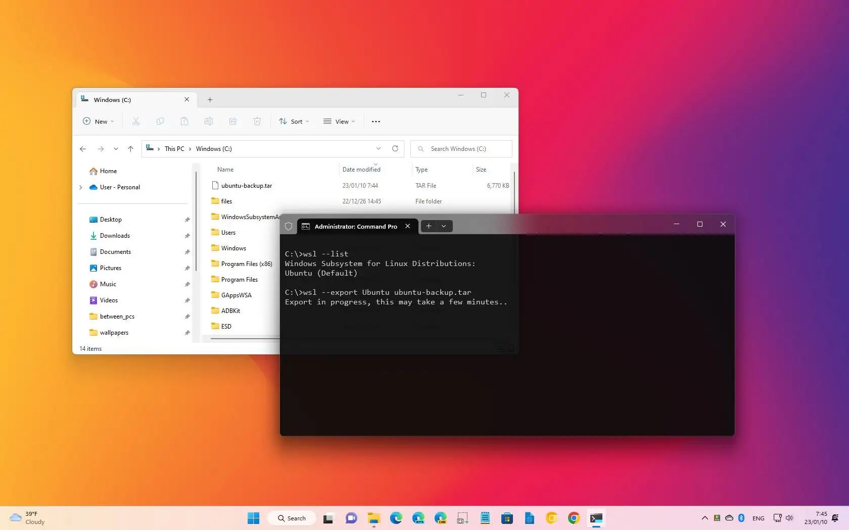 WSL distro backup