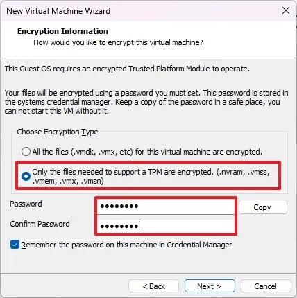 VMware TPM setup for Windows 11 VM
