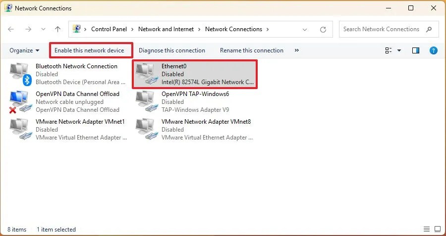 Enable this network device