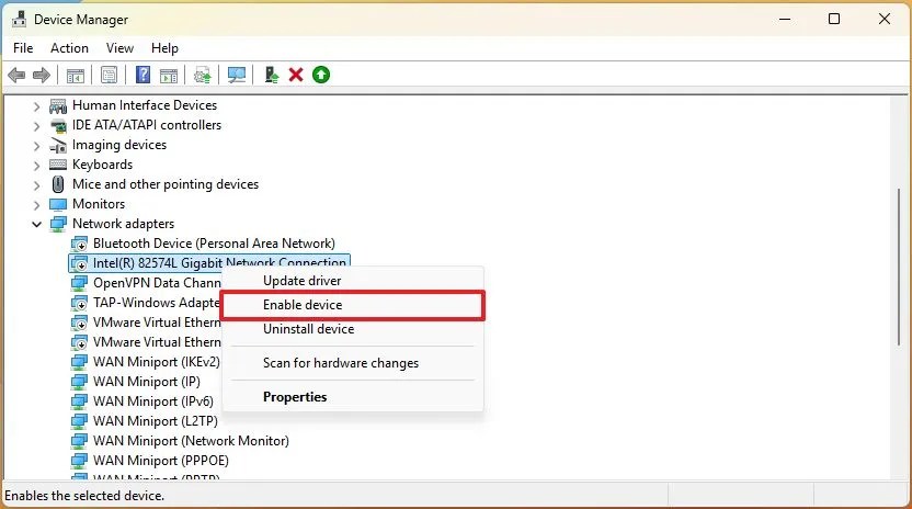 Device Manager enable network