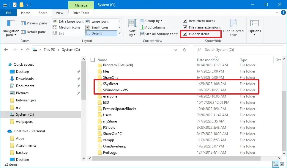 File Explorer show hidden files