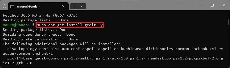WSL install Linux GUI app