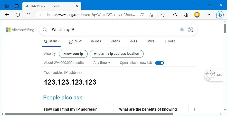 Check public IP address