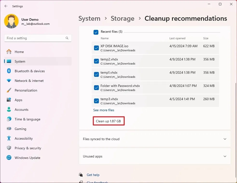 Windows 11 files cleanup