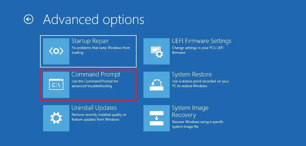 WinRE Command Prompt option