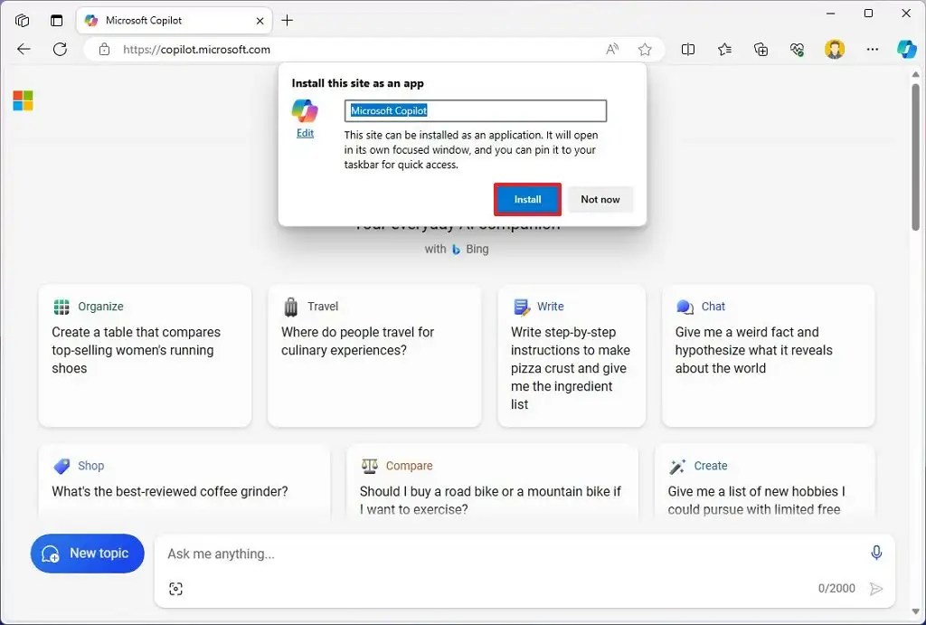 Copilot install settings