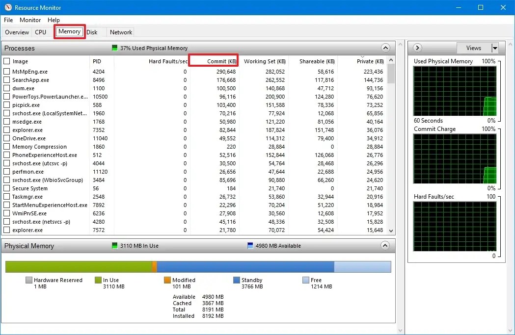 Resource Monitor check app memory usage