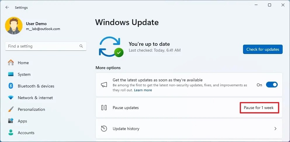 Windows 11 disable updates