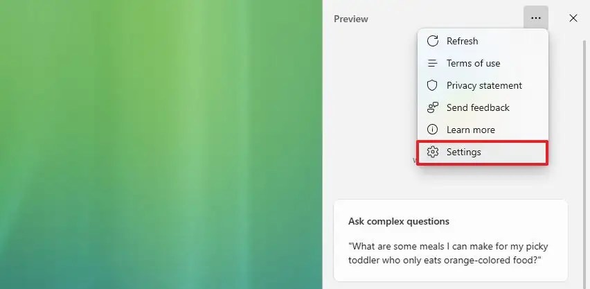Copilot open settings