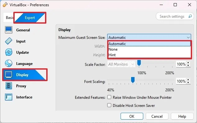 Maximum guest screen size settings