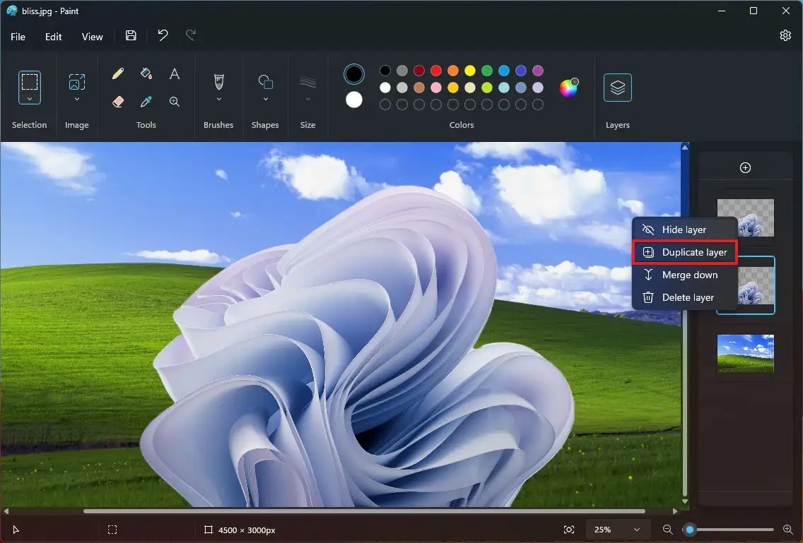 Paint duplicate layer