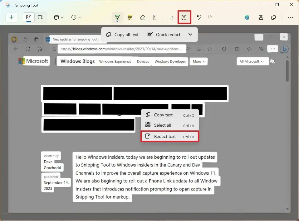 Snipping Tool hide text (redact)