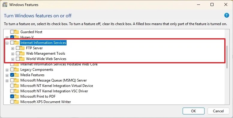 Microsoft IIS - World Wide Web Services