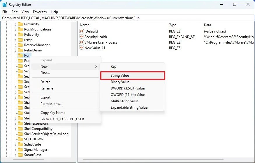Registry create Run string
