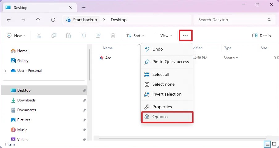 File Explorer open folder options