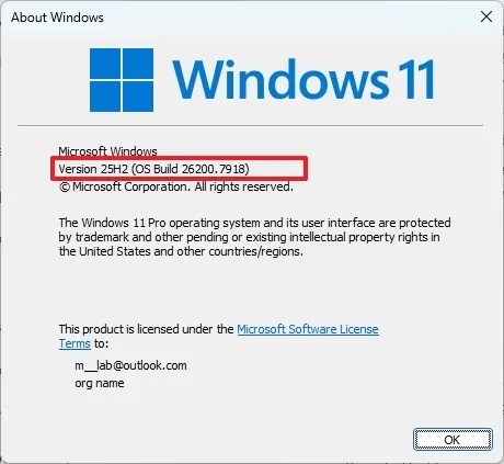 Windows 11 check version from winver