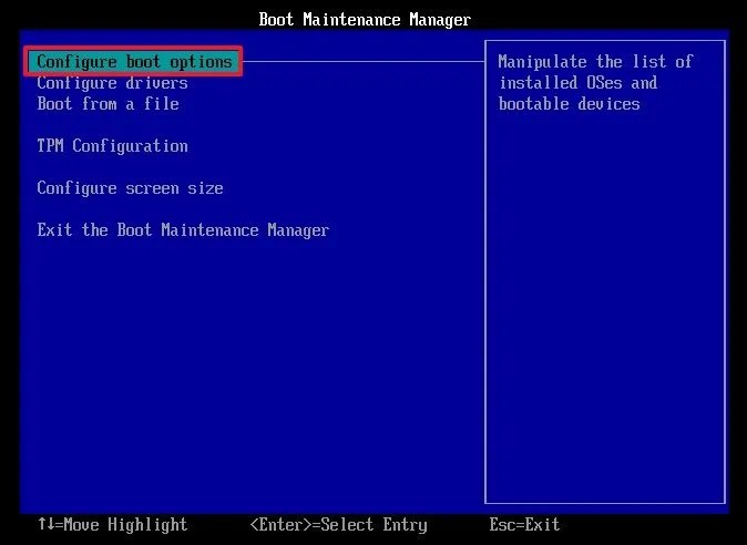Configure boot options