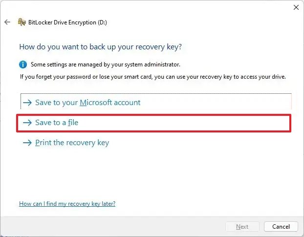 Save BitLocker To Go to file