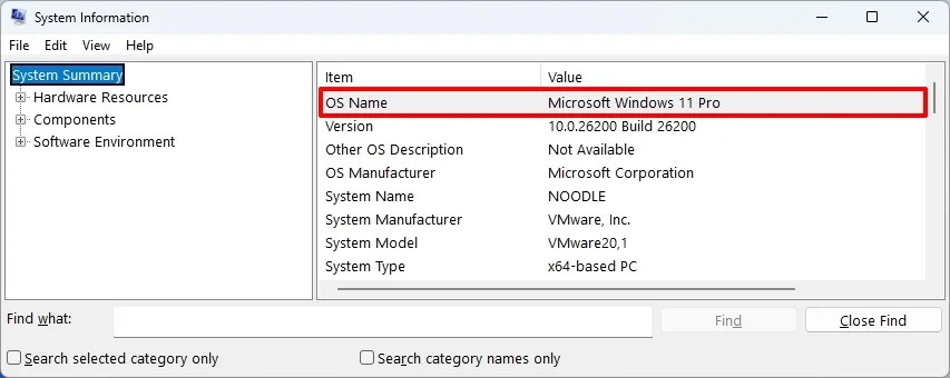 System Information check Pro or Home edition