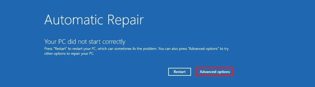 Automatic Repair advanced options