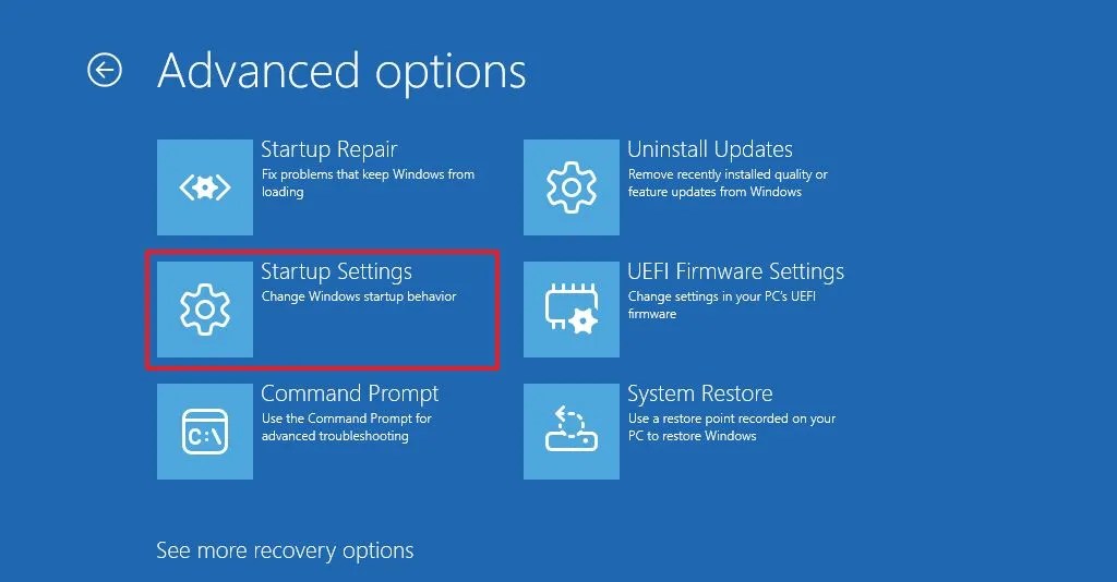 WinRE Startup Settings