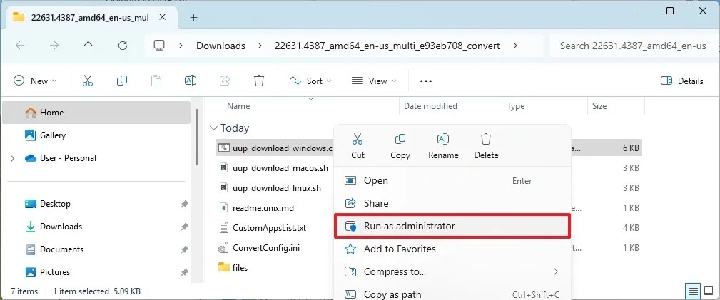 Run UUP Dump script to download Windows 11 23H2 ISO