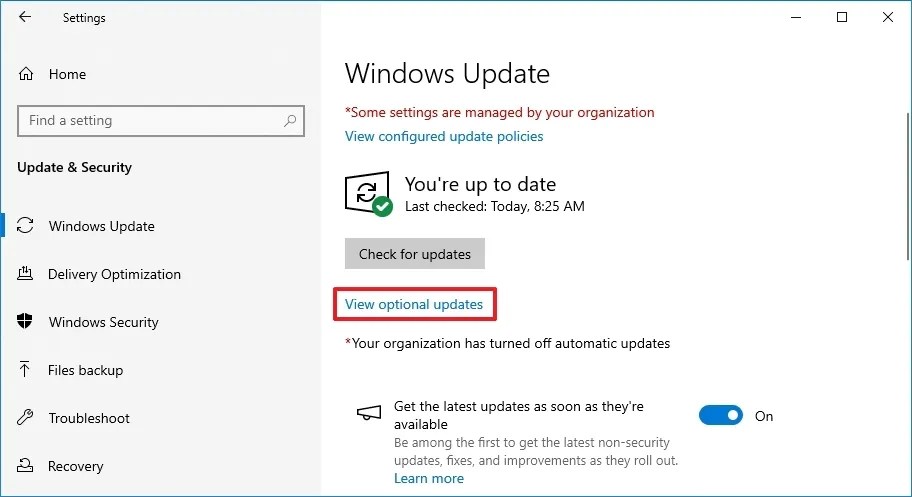 Windows 10 view optional updates