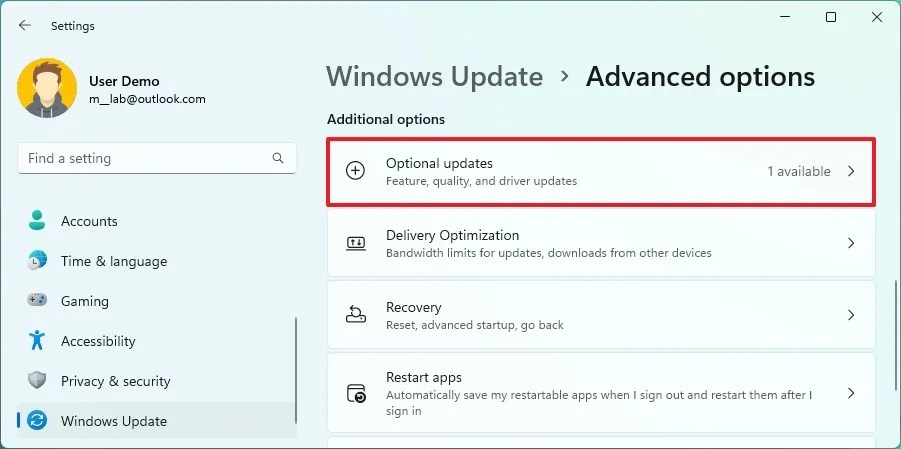 Advanced options optional updates