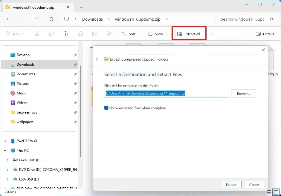 Windows 11 arm64 extract UUP Dump scripts