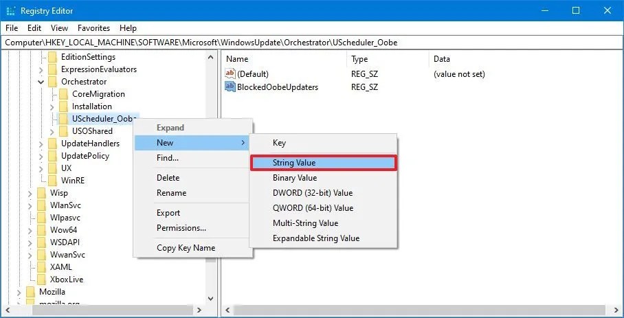 Registry UScheduler_Oobe key