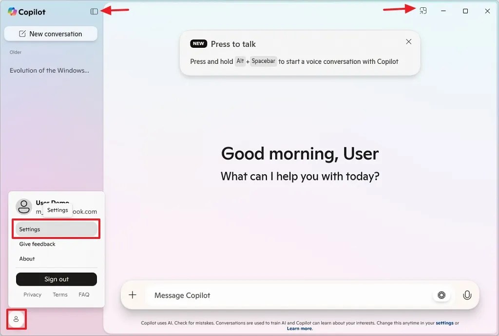 Copilot open Settings