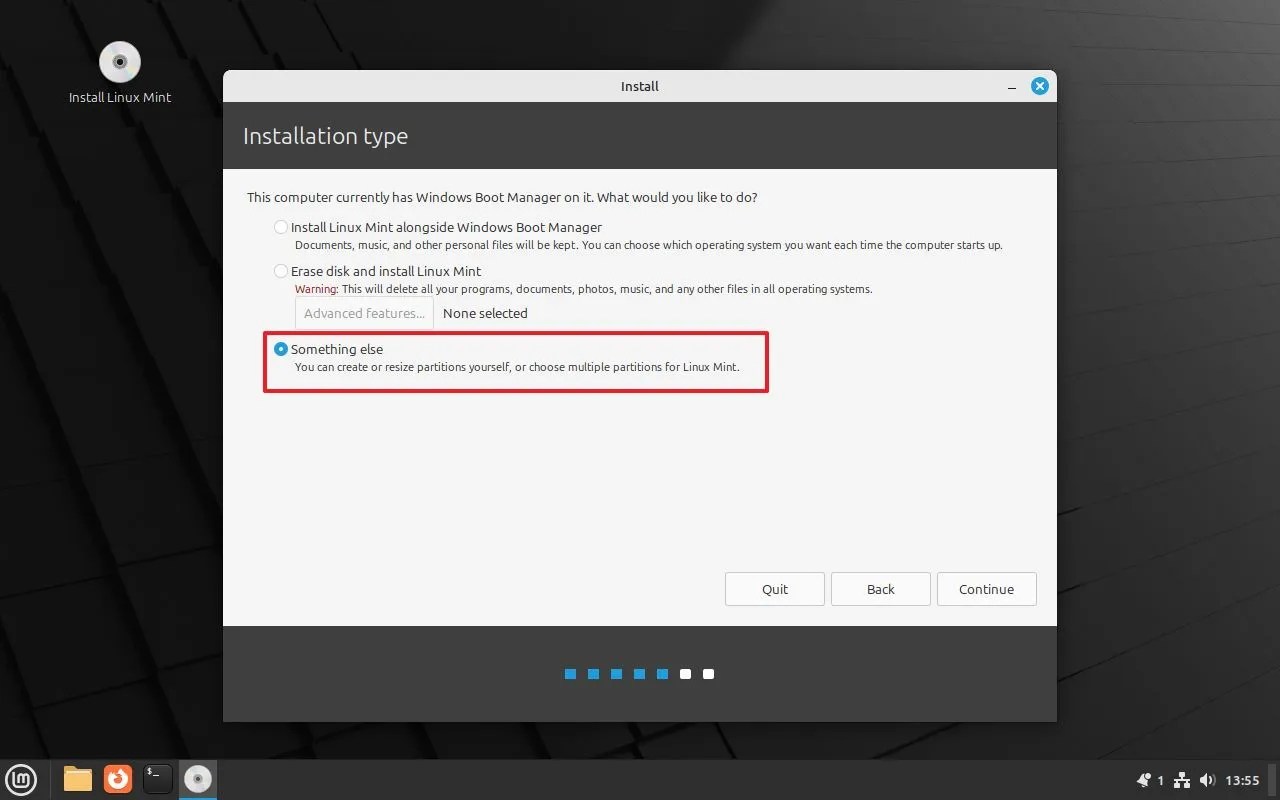 Linux Mint setup Something else