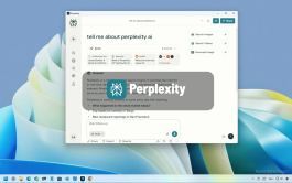 Perplexity app