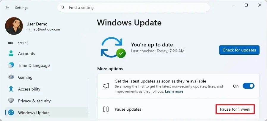 Windows 11 disable updates