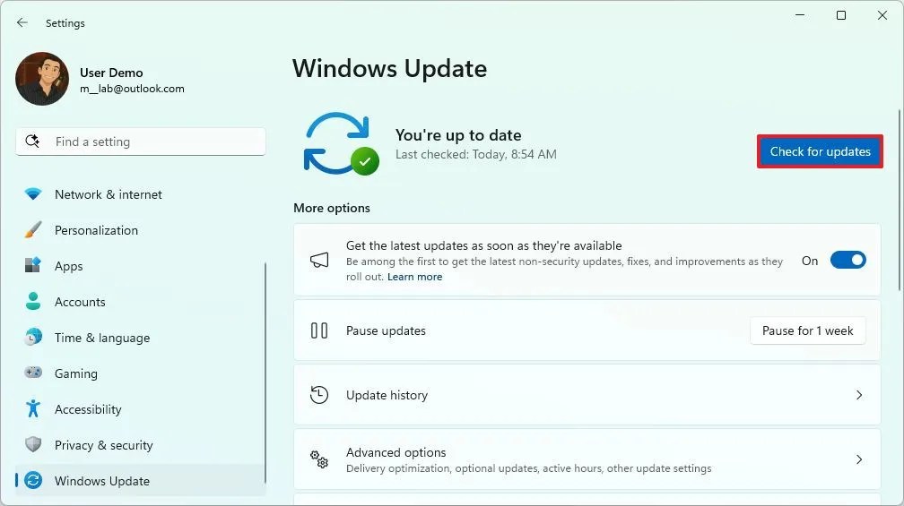 Windows 11 check and install updates