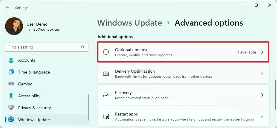 Windows 11 Optional updates settings