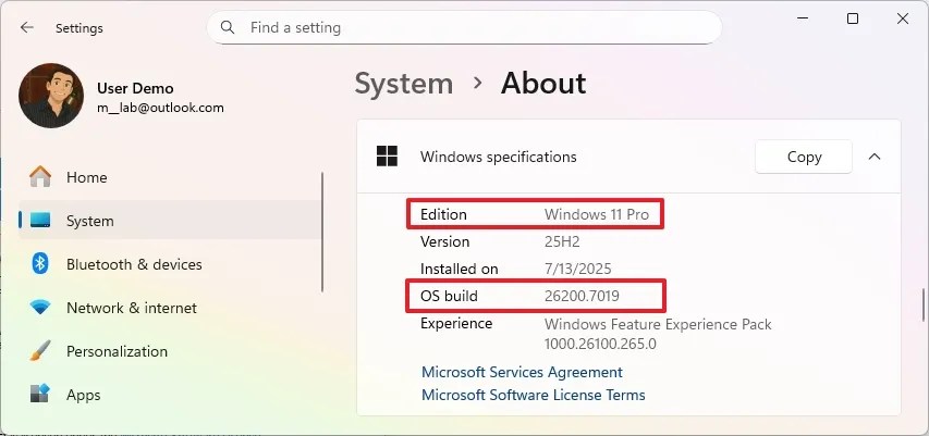 Windows 11 Settings check version