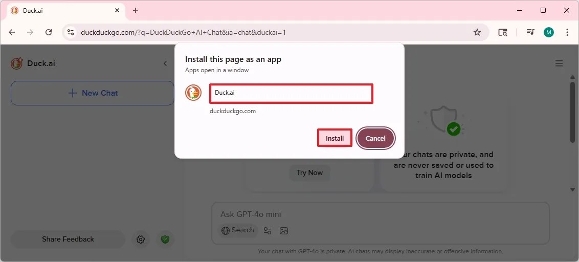 Chrome Duck.ai install settings