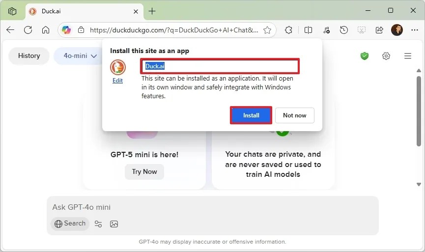 Duck.ai install settings