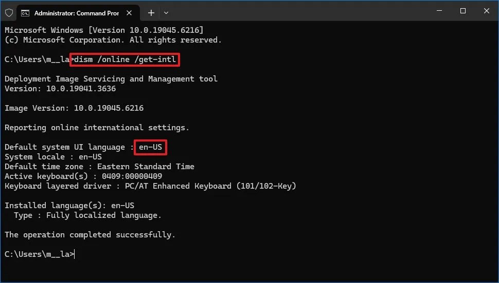 dism online get-intl command