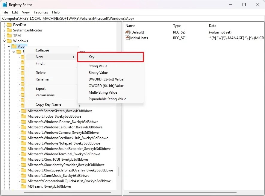 Registry Create RemoveDefaultMicrosoftStorePackages