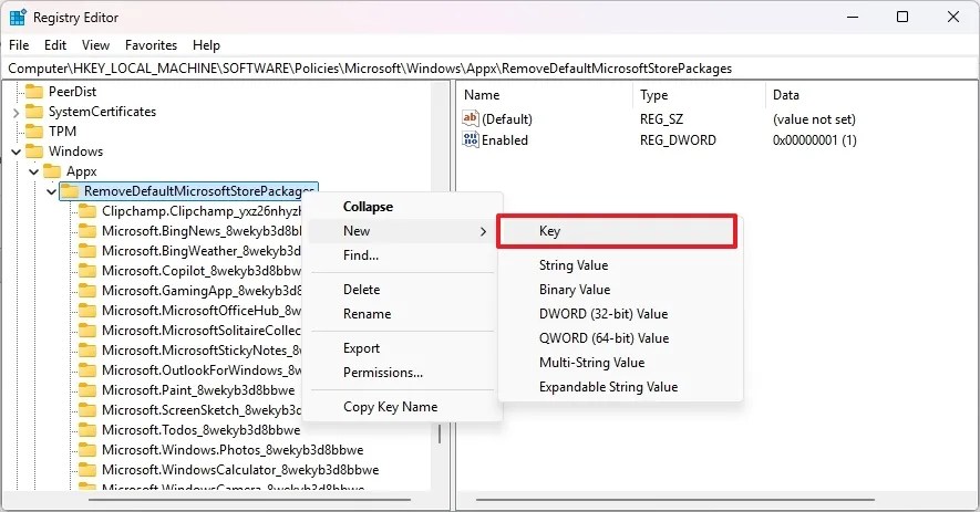 Registry create remove app key