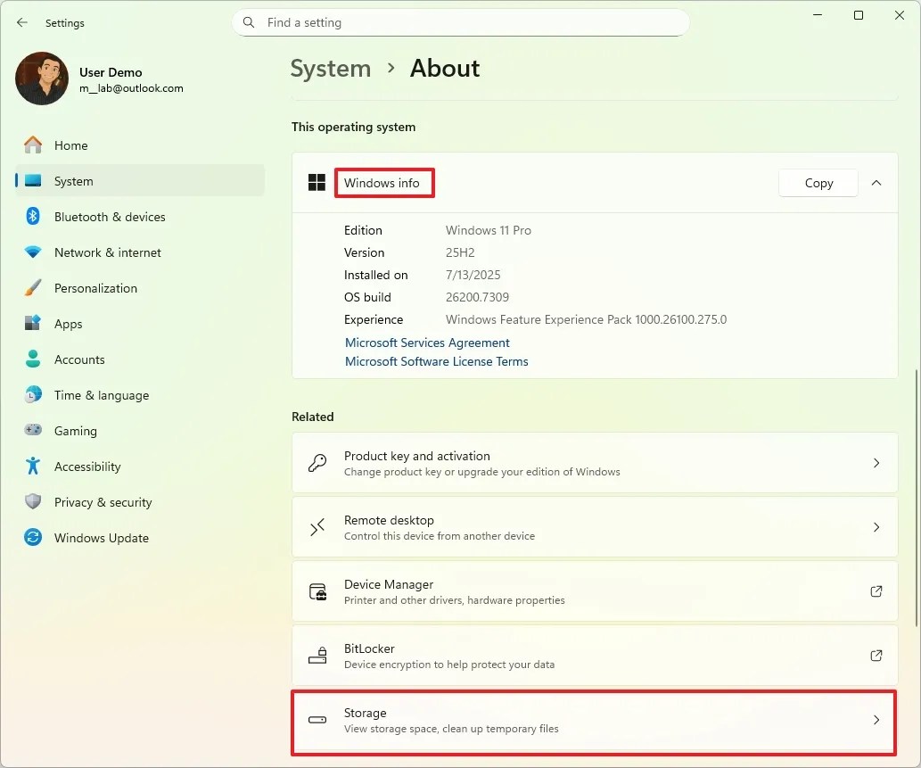 Windows 11 About page with Storage entry