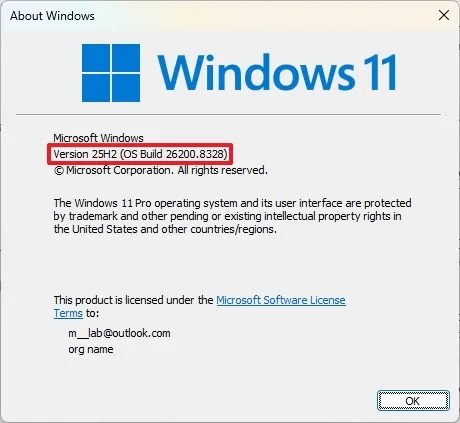 Windows 11 winver