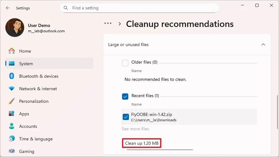 Windows 11 files cleanup